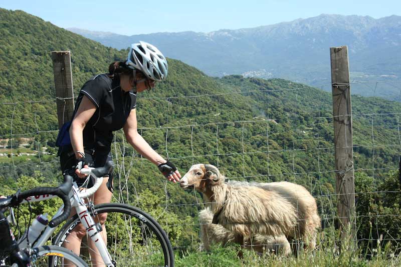https://bcyclet.com/wp-content/uploads/2020/02/cycling-tour-corsica-15.jpg